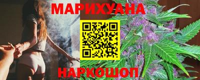 мяу мяу мука Ачхой-Мартан