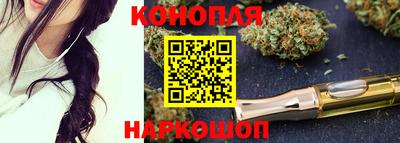 мяу мяу мука Ачхой-Мартан