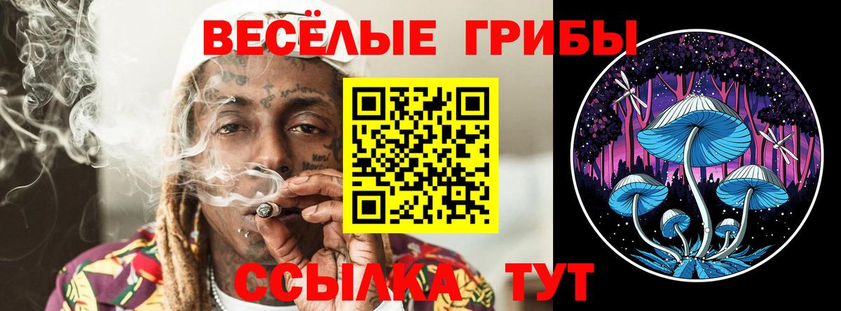 Галлюциногенные грибы GOLDEN TEACHER  Галлюциногенные грибы Cubensis  Вход с VPN  Ачхой-Мартан 